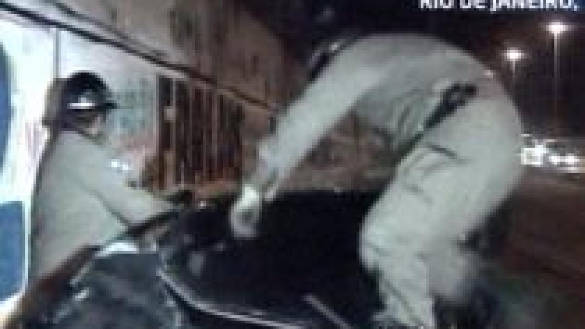 rio de janeiro un sofer a spulberat un cal care se afla pe autostrada imagini socante