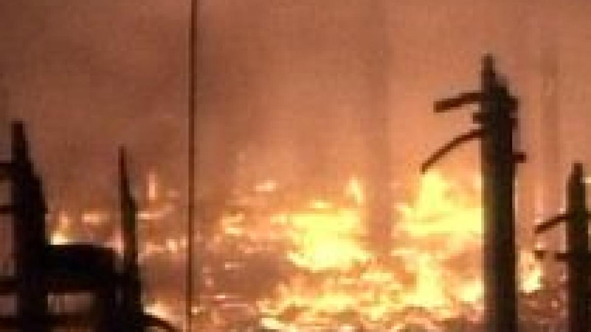 restaurant facut scrum in centrul aradului