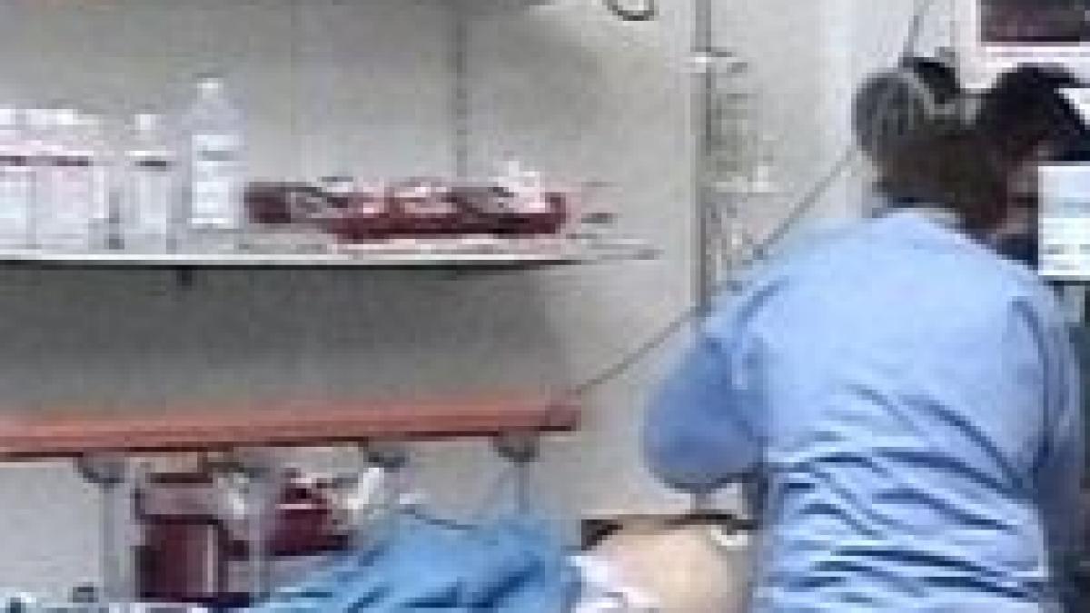 Harghita. Cioban rănit grav după ce a fost atacat de o ursoaică cu pui (VIDEO)