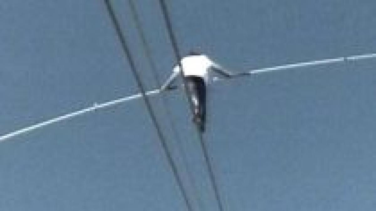 acrobatii pe sarma la 3 000 de metri deasupra marii video