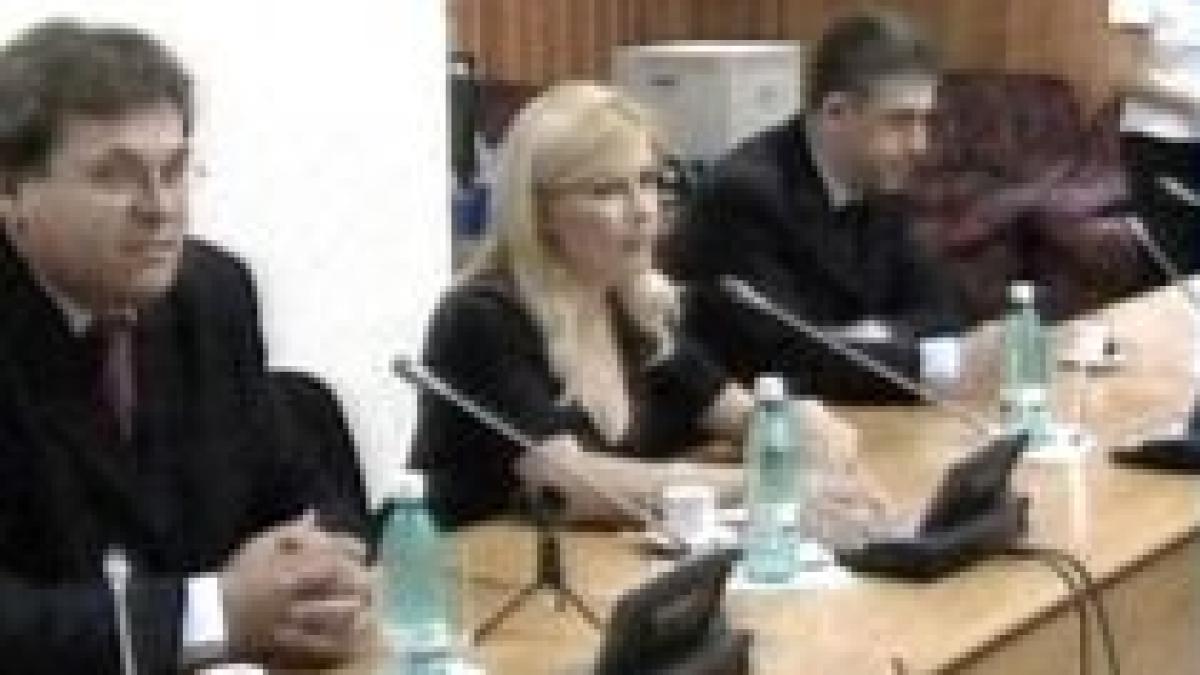 elena udrea asteptata la audierile comisiei parlamentare