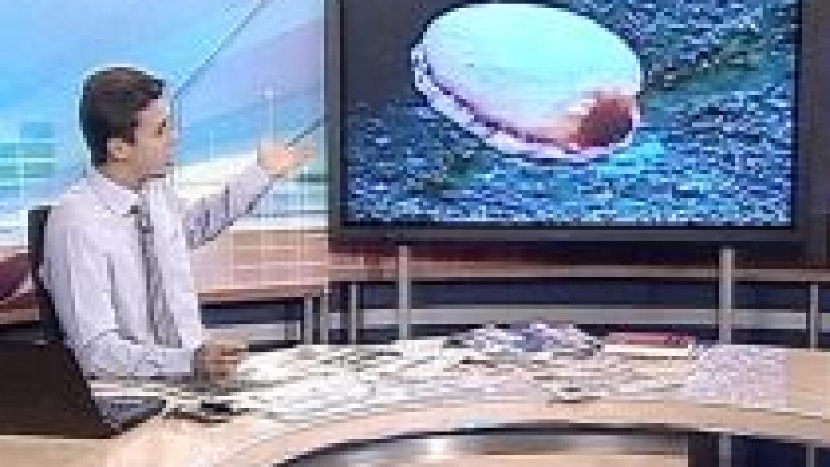 lumea lui mircea badea de cand l am vazut pe presupusul extraterestru in capcana de soareci mi am