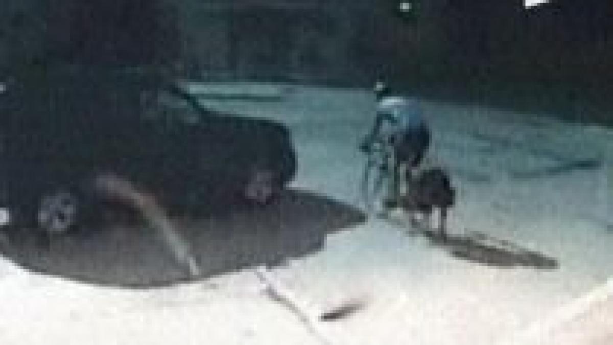 sua un politician trece pe rosu si loveste in plin un biciclist video