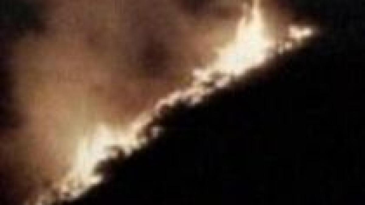 oficiul padurilor din los angeles incendiul de padure provocat de un act criminal