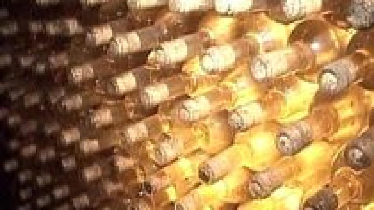 in plina criza ministerul de interne investeste peste 73 000 lei in sticle de vin video