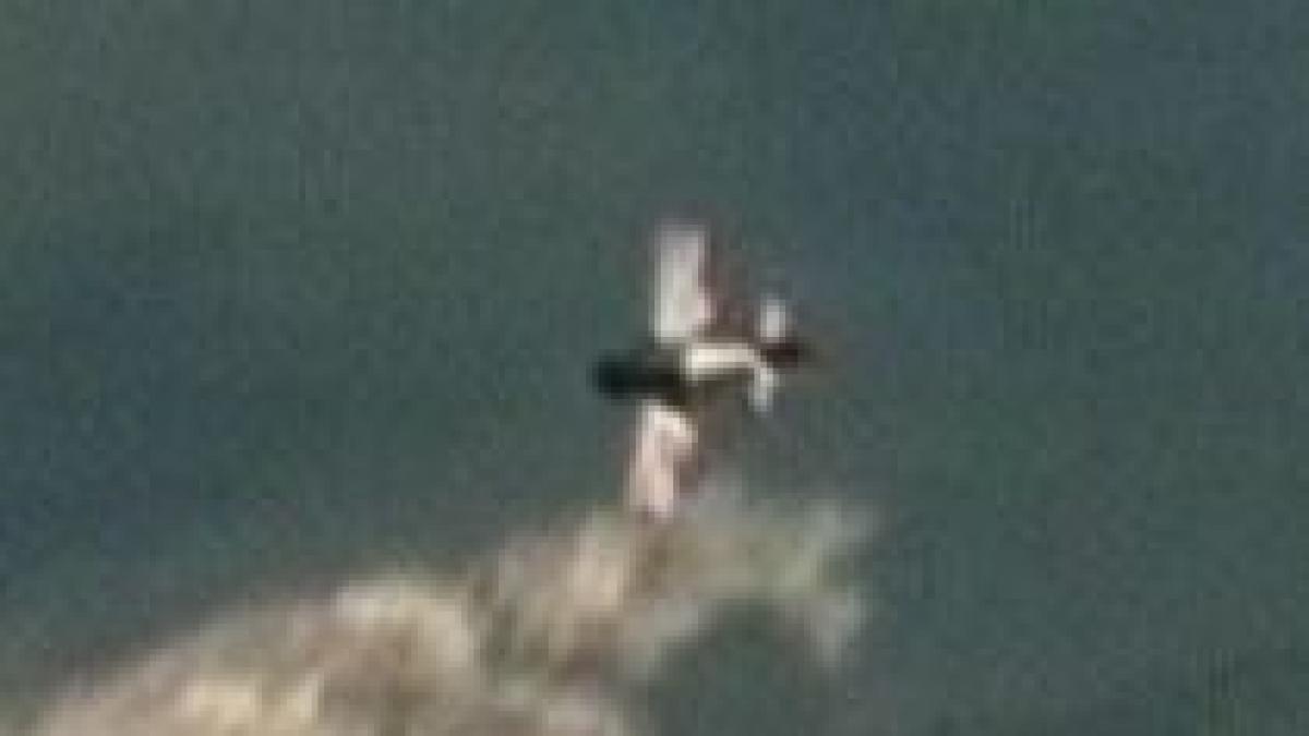 Tragedie aviatică, în nordul Italiei: Un pilot a murit, după ce a pierdut controlul aparatului de zbor (VIDEO)