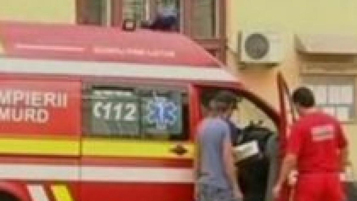 o batrana din judetul iasi a murit sfasiata de caini