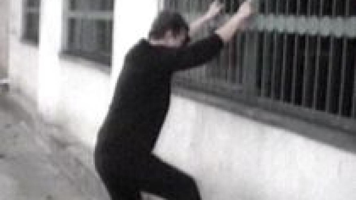 Patru copii în spital. S-au ferit de câinii din curtea şcolii şi au fost răniţi de grilajul unei ferestre 