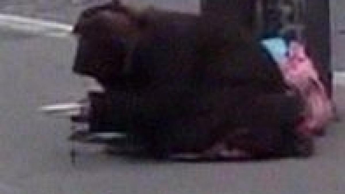 Jurnalistă bulgară, arestată în timp ce realiza un reportaj despre cerşetori