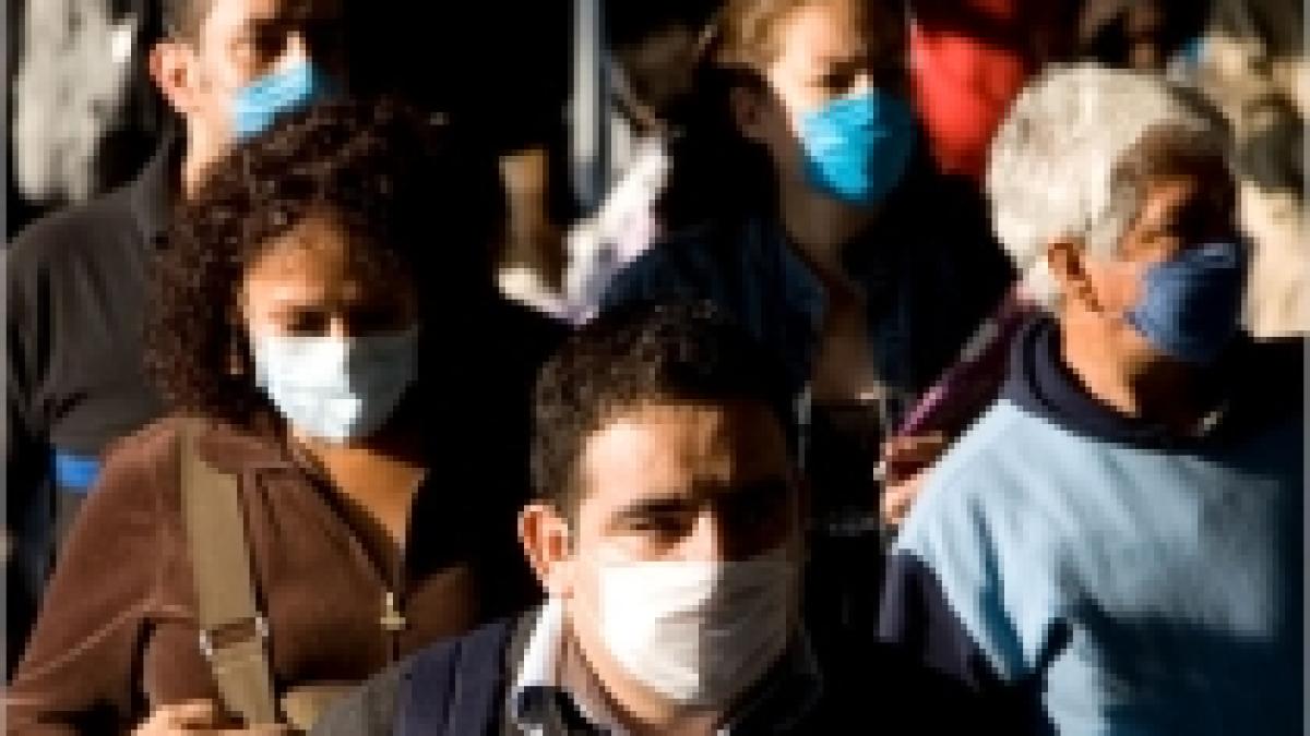 oms virusul gripei porcine a ucis aproape 3 500 de persoane