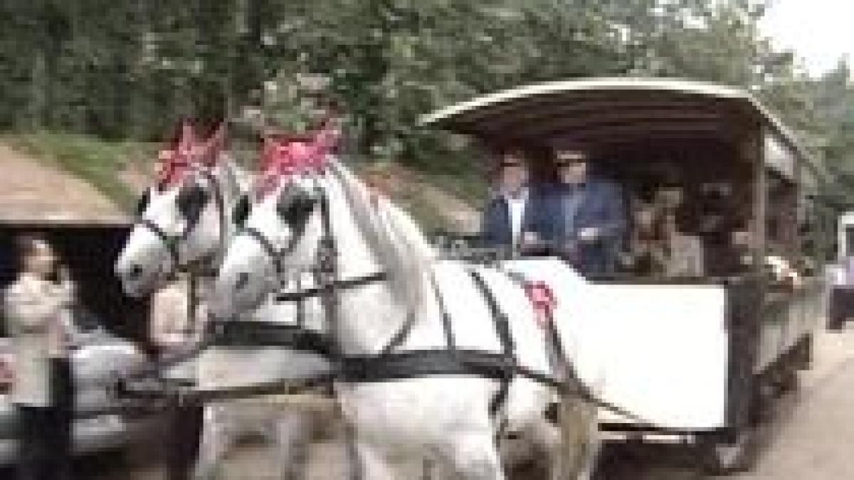 bucuresti parada tramvaielor de epoca la 100 de ani de la infiintarea transportului public video