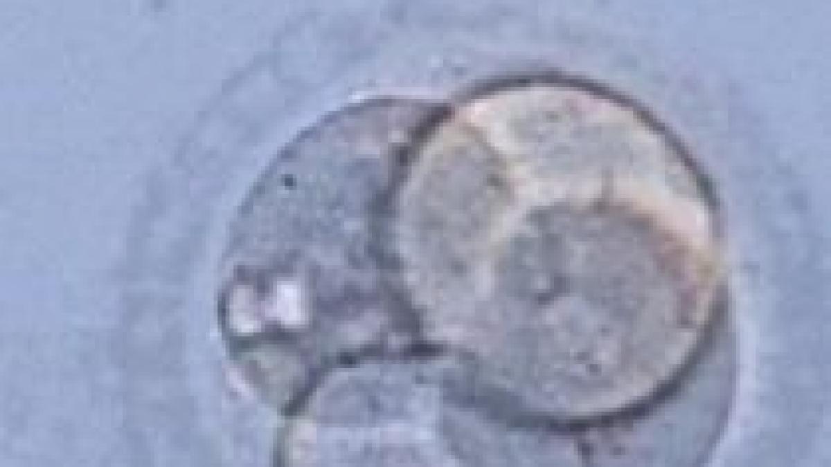 romania pe lista tarilor unde se practica turismul de fertilizare