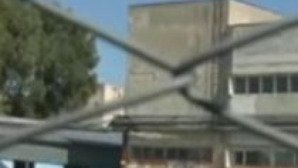 bucati din trupul devorat de animale al unui nou nascut descoperite in curtea unei fabrici din