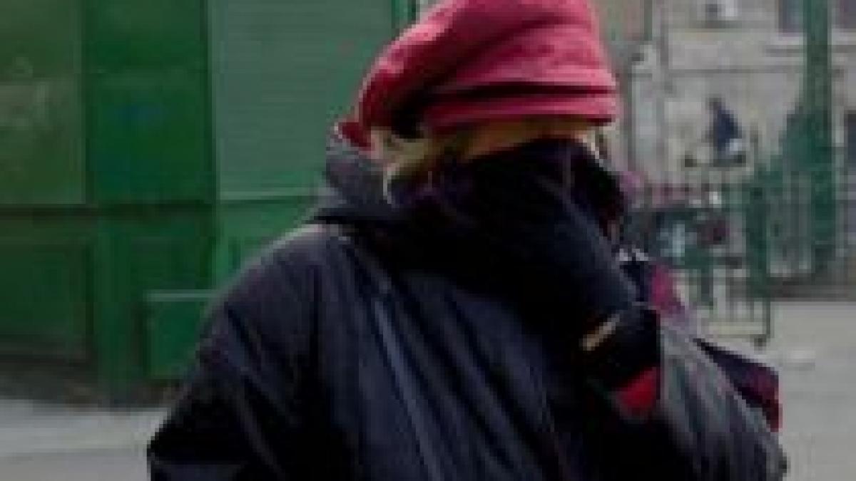 la intorsura buzaului s a intrgistrat prima temperatura negativa din aceasta toamna