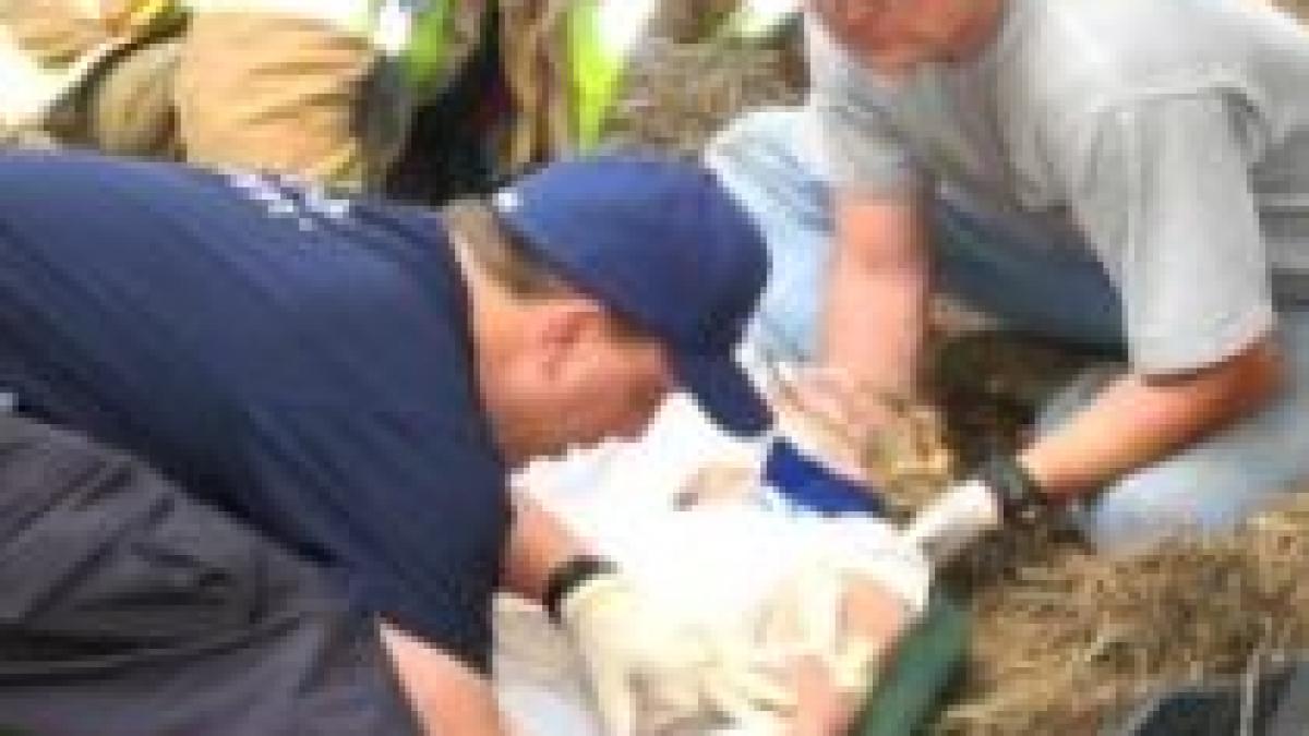 lectie de supravietuire a trait cinci zile in salbaticie dupa ce a picat cu masina intr o rapa