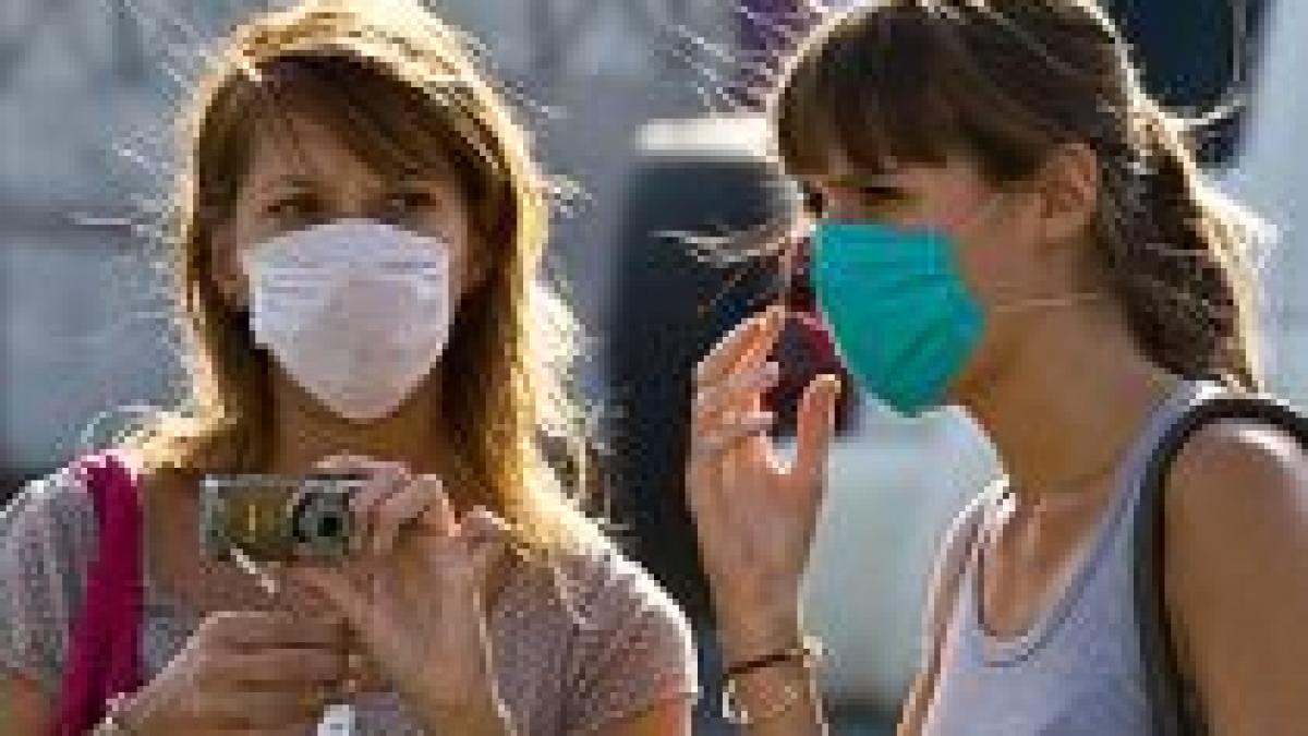 onu gripa porcina ar putea provoca anarhie si milioane de decese