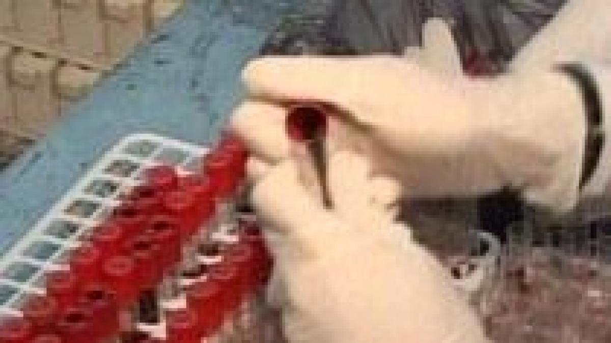 cancerul de colon ar putea fi depistat cu ajutorul unui simplu test de sange video