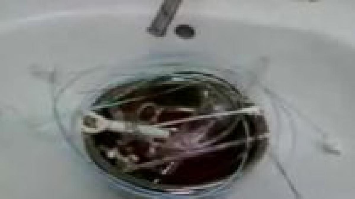 ustensile refolosite chiar si de 10 ori la insititutul de boli cardio vasculare din timisoara video