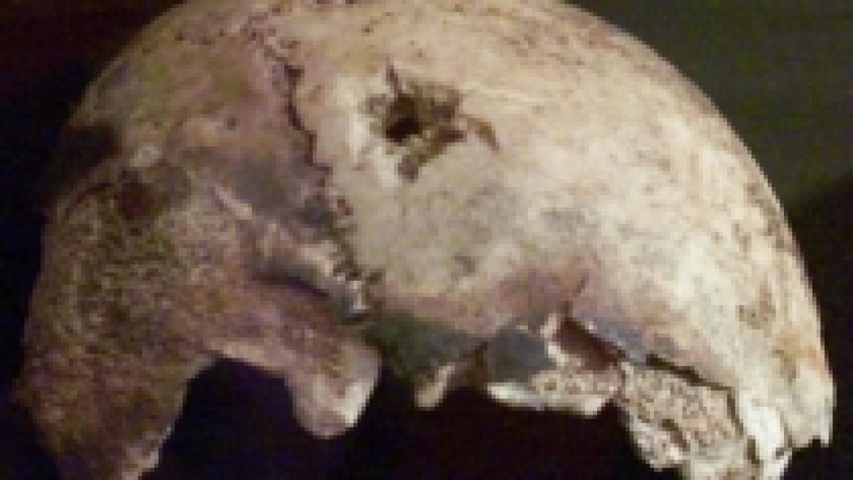 grup de cercetatori americani hitler nu s ar fi sinucis