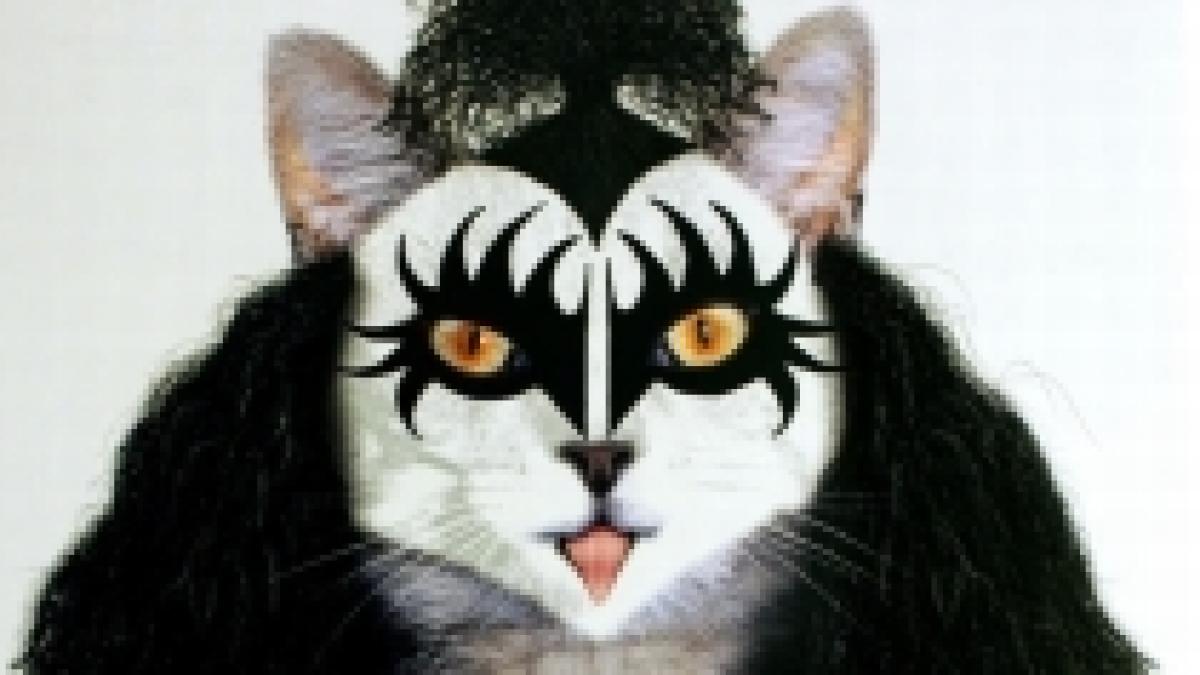 cum ar arata starurile rock daca ar fi animale foto