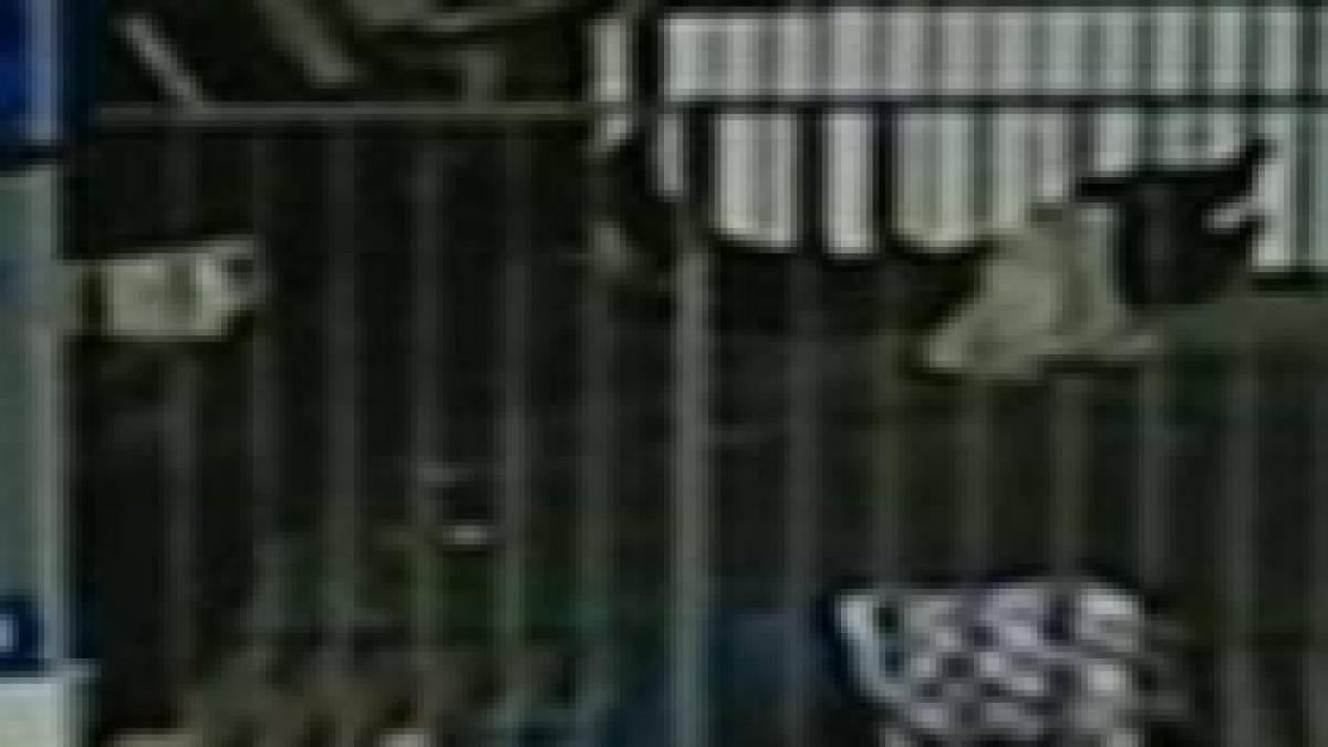 a scapat cu viata dupa ce a fost spulberat pe trotuar de un bolid imagini socante