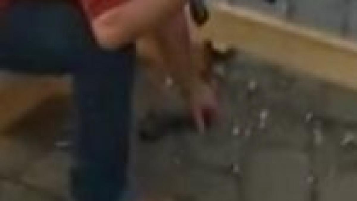 atentie se pierd arme un politist isi scapa pistolul in timpul interventiei din timisoara video