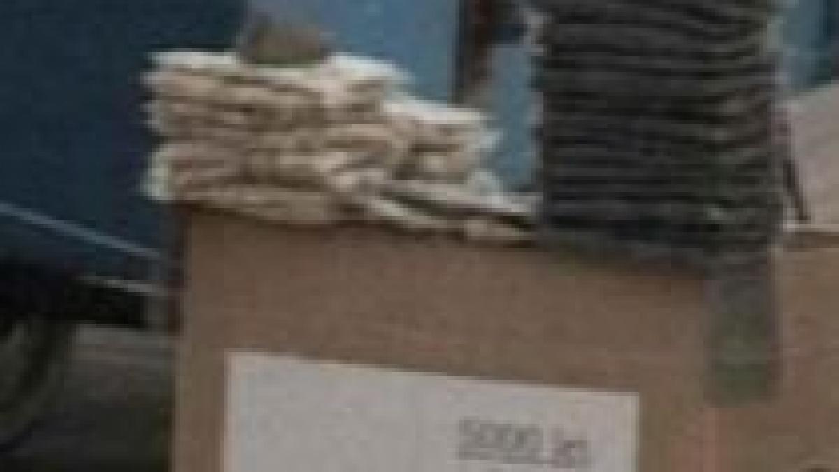 fara floare si bostan in ghencea steaua a interzis consumul de seminte pe stadion