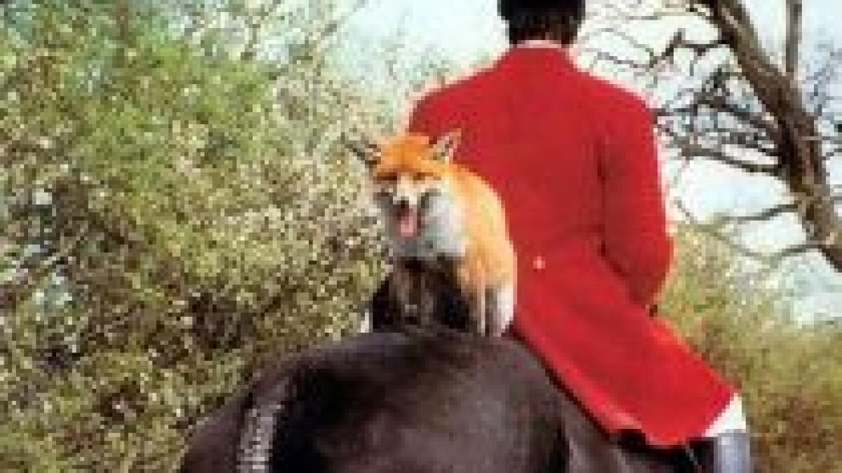 premiera in romania la satu mare a fost organizata o vanatoare in stil englezesc