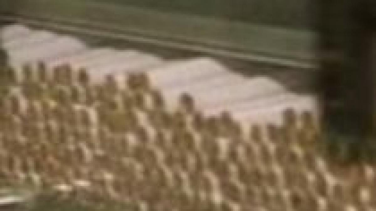 un pachet de tigari ar putea costa 10 lei in medie incepand de anul viitor