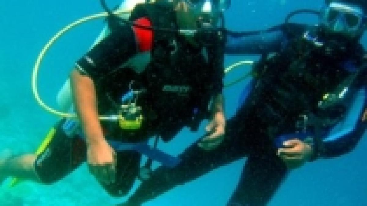 guvernul din maldive va sustine o sedinta subacvatica