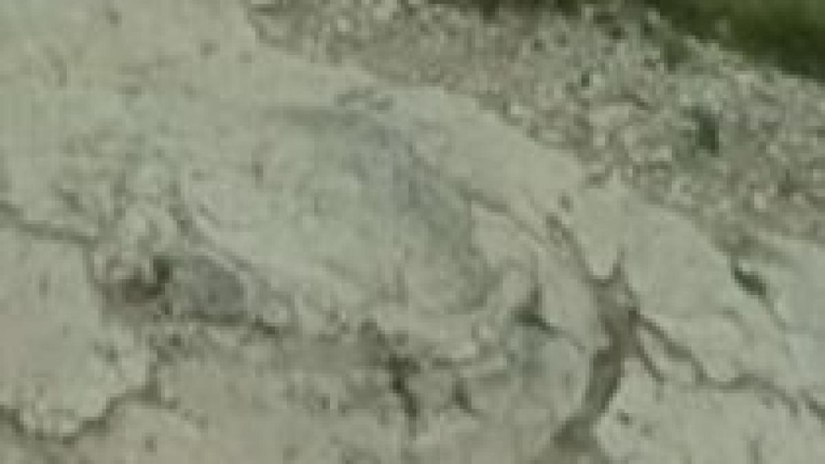 descoperire importanta in franta amprente de dinozaur vechi de peste 150 milioane ani video