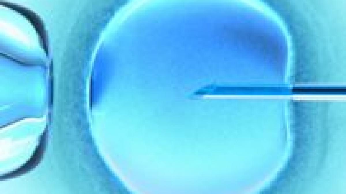 fertilizarea in vitro interzisa de lege printr un ordin al fostului ministru al sanatatii ion bazac