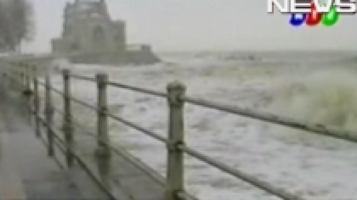 marea neagra poluata cu petrol ce provine de la doua nave scufundate in urma cu 14 ani video