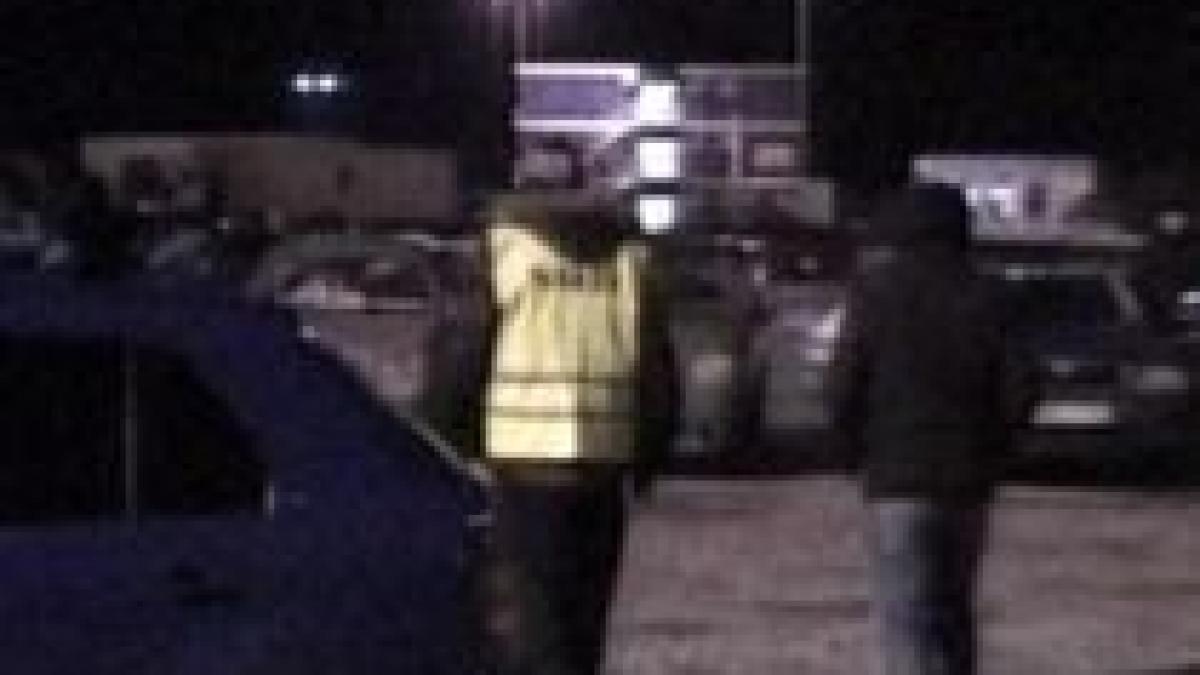 descinderi in timis pentru anihilarea unei retele de traficanti de marijuana