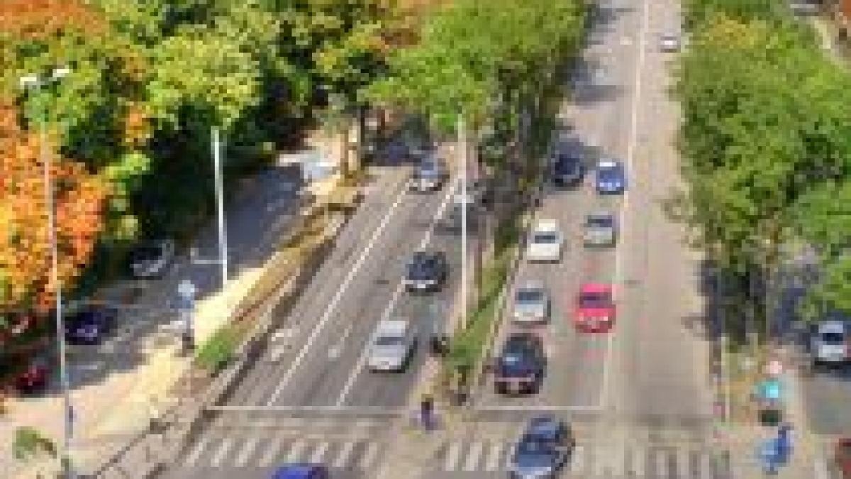 Kiseleff, cel mai scump bulevard din lume. Reabilitarea sa costă 45 de milioane de euro (VIDEO)