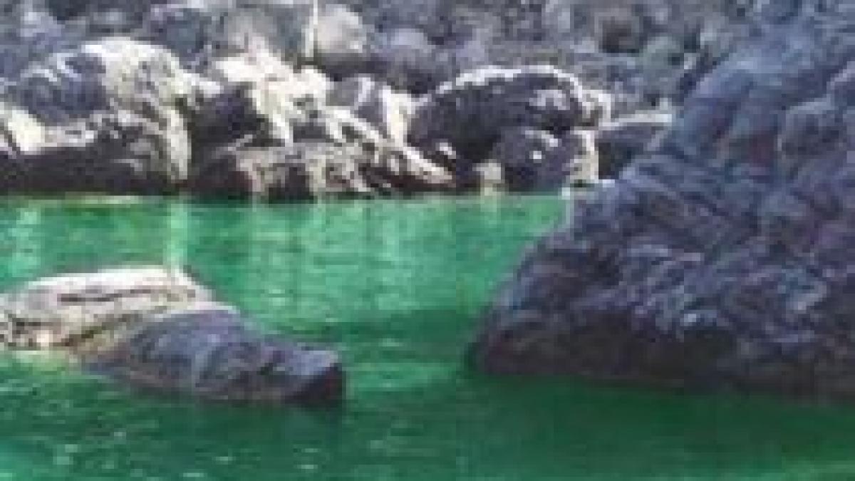 marinar roman gasit mort in marea adriatica