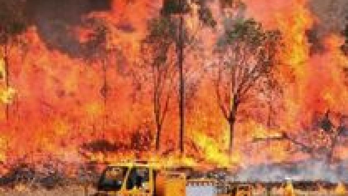 incendii de vegetatie in australia mai multe localitati inconjurate de flacari