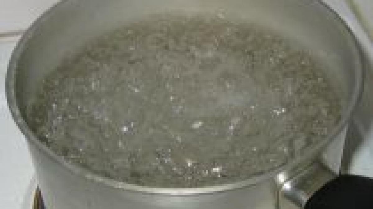 valencia romanca internata dupa ce colega de apartament a oparit o pe fata