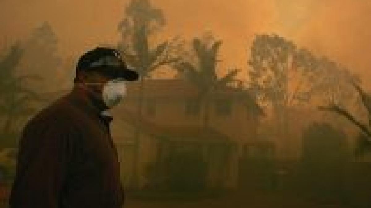 australia incendiile de vegetatie au scapat de sub control