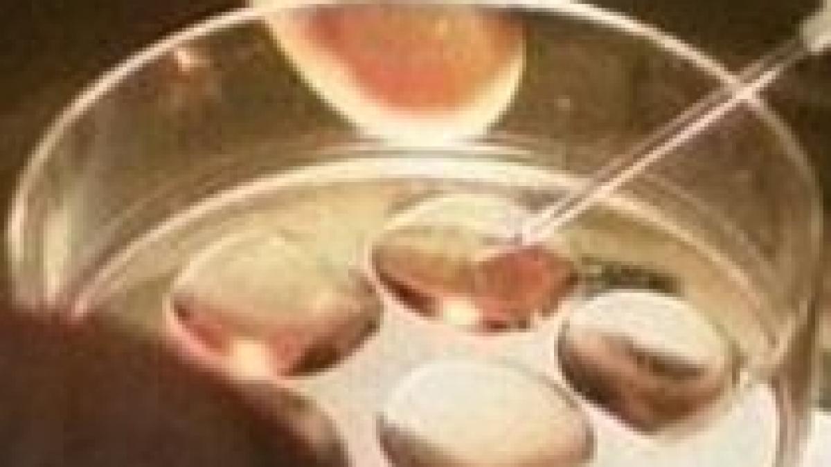 ministerul sanatatii va aloca 500 000 euro pentru sustinerea cuplurilor care recurg la fertilizarea