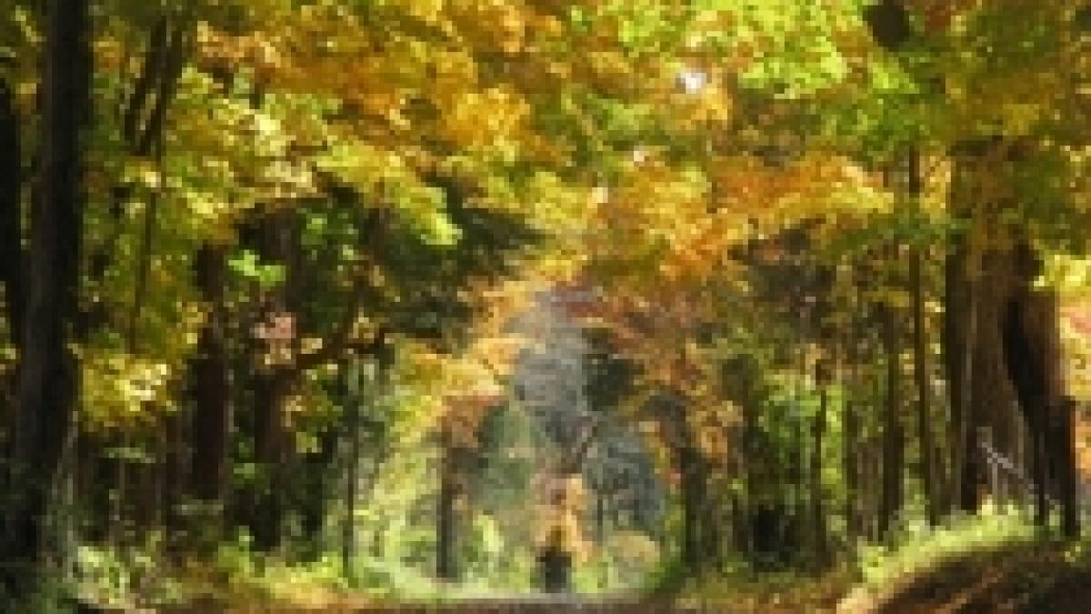 vreme mai buna de miercuri cu maxime intre 10 si 18 grade vezi prognoza meteo