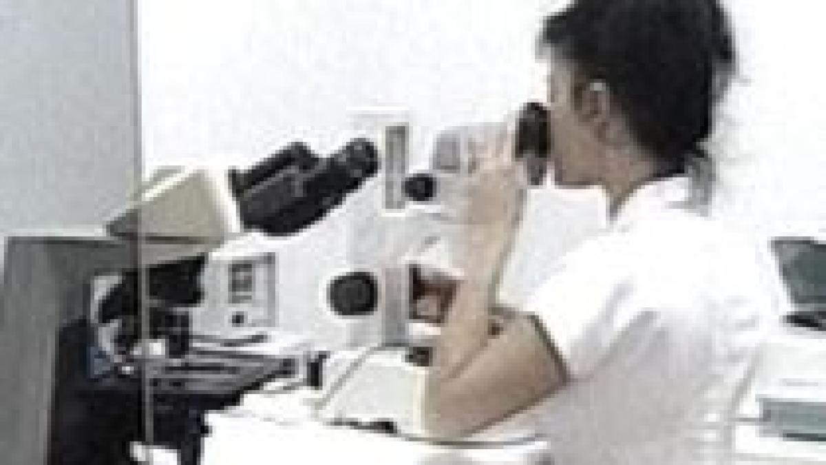 copiii conceputi in eprubeta pot afla cine sunt parintii biologici