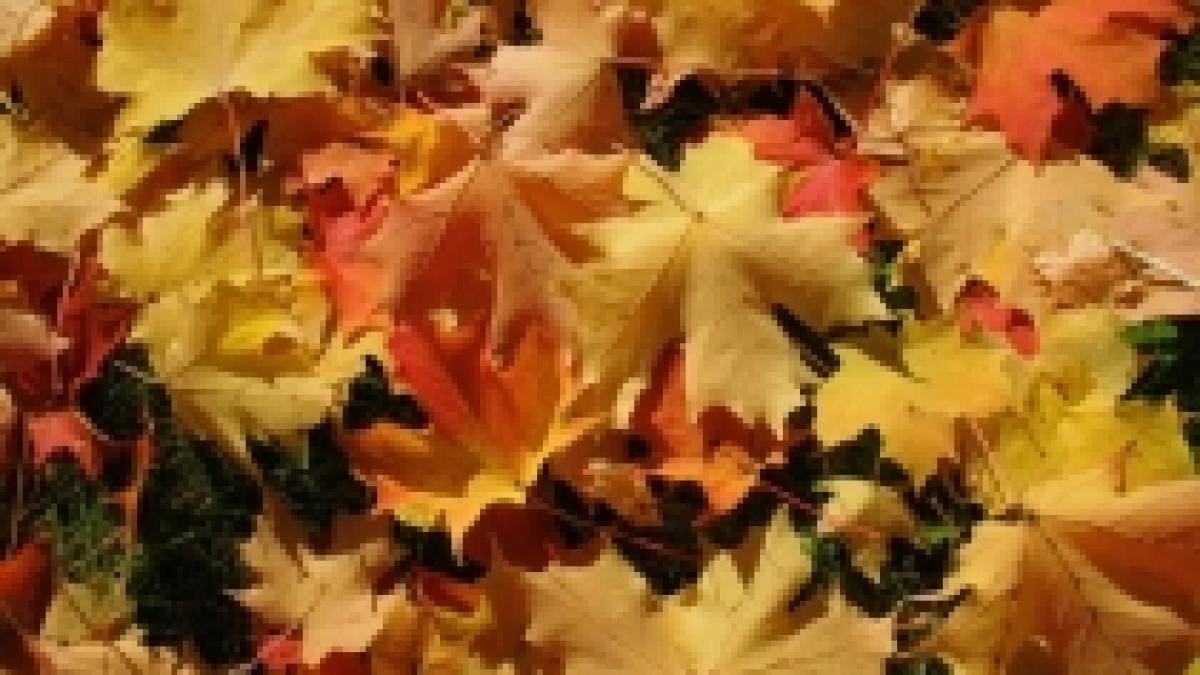 vreme frumoasa si temperaturi ridicate in weekend vezi prognoza meteo