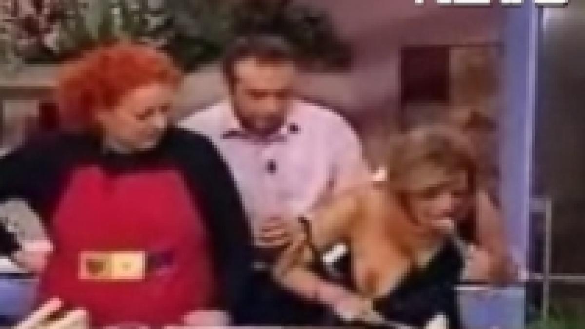 sanii ingredientul de baza intr o emisiune culinara video