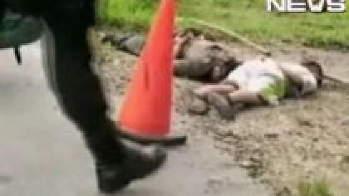 zece fotbalisti columbieni au fost asasinati in venezuela de o grupare de gherila video