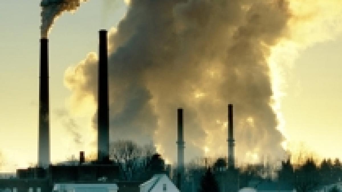 greenpeace a deversat 18 tone de carbune in fata biroului premierului suedez