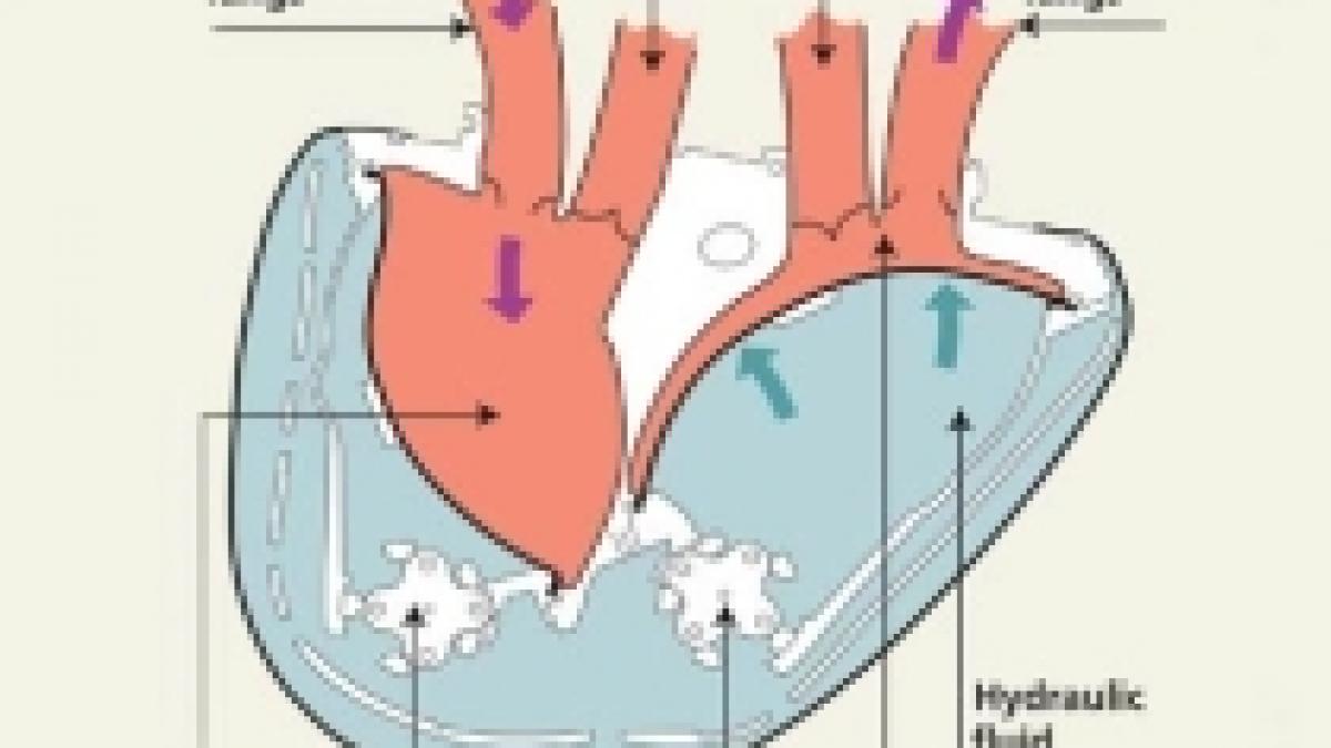 inima artificiala care bate la fel ca una reala testata pe oameni din 2011