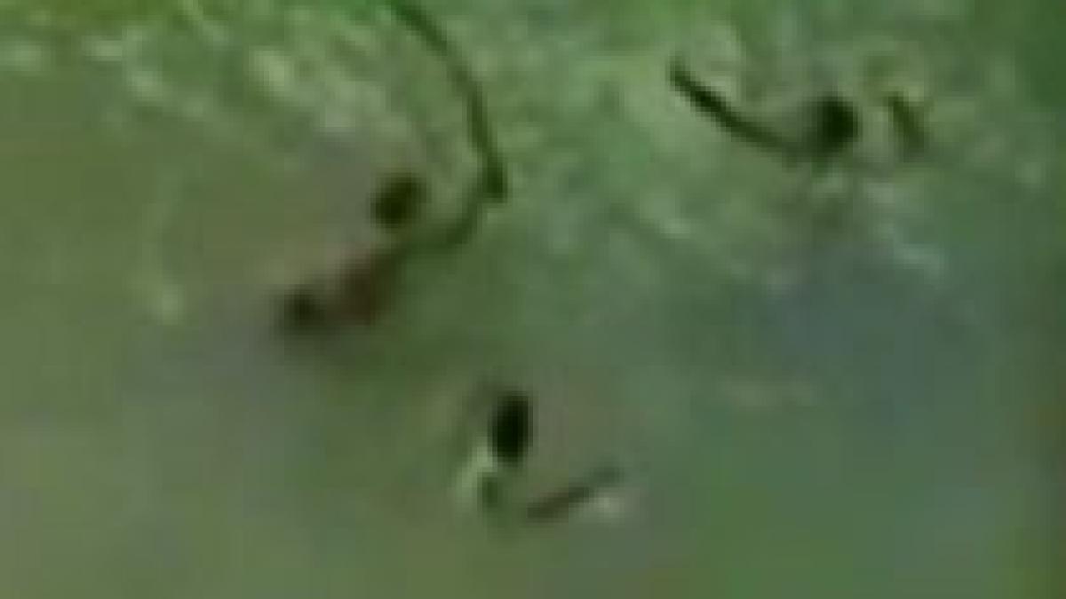 politisti filmati in timp ce lovesc si ineaca un tanar bolnav psihic imagini socante