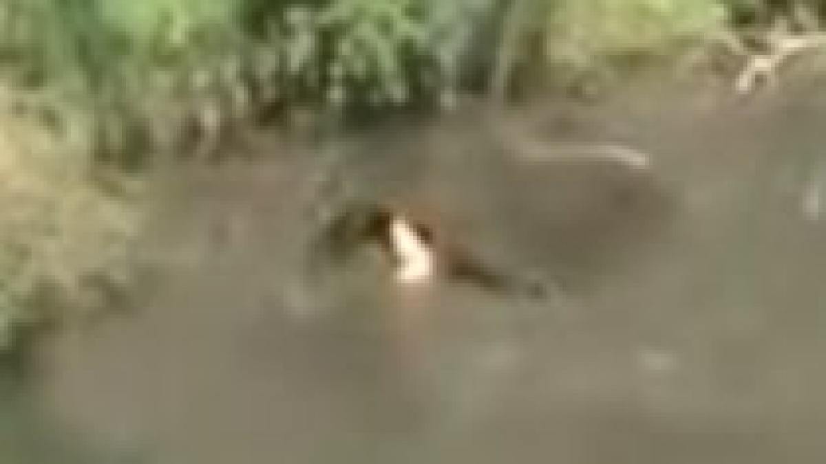 experimente inedite si a transformat masina in vehicul subacvatic video