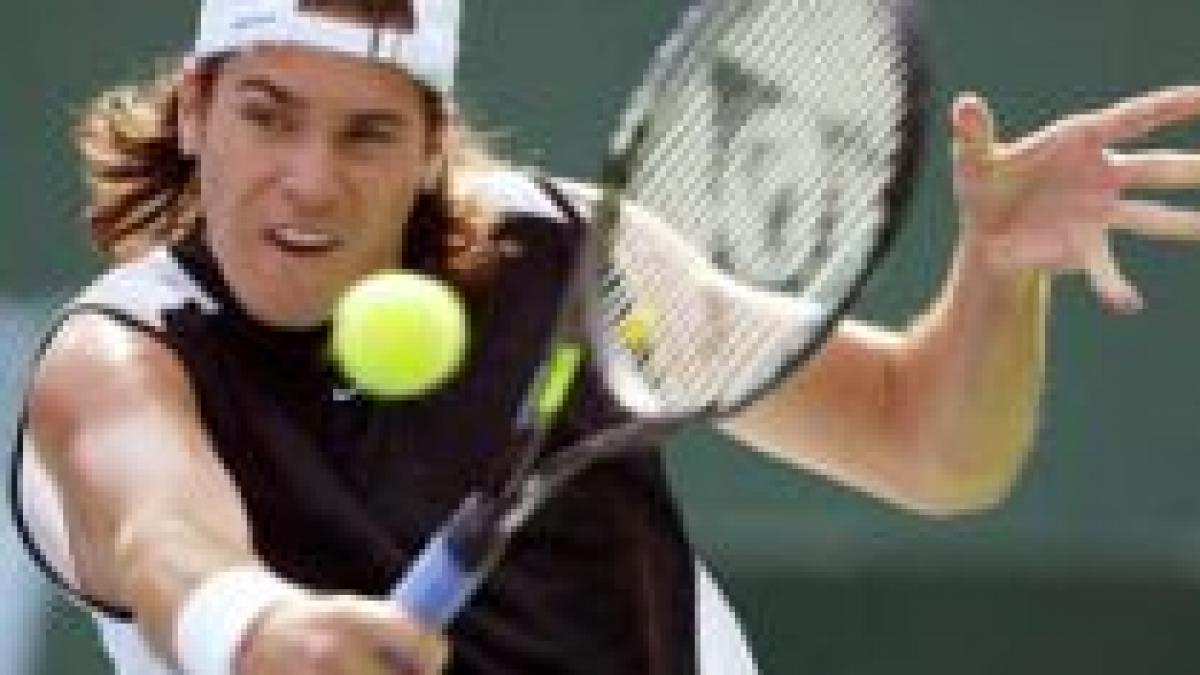 gripa porcina pateaza si sportul alb tenismanul tommy haas a contractat virusul a h1n1